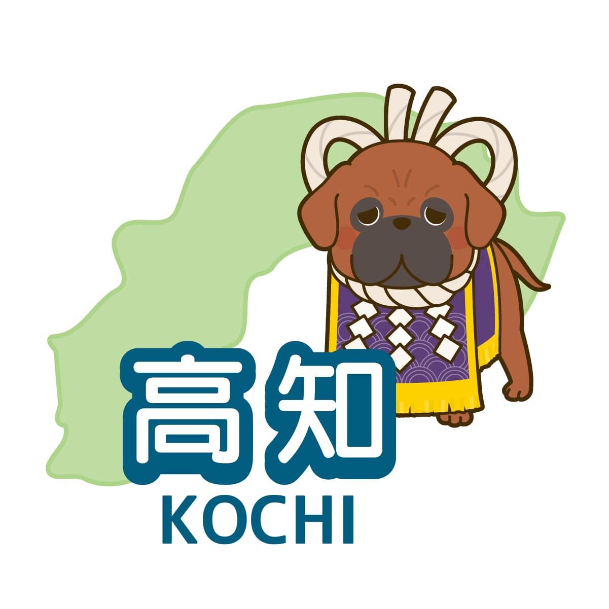 高知県で看護師求人が多いエリアは?