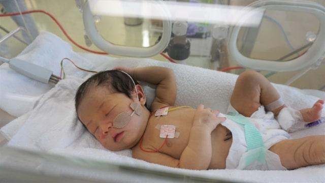 NICU(新生児集中治療室) / GCU(回復治療室)